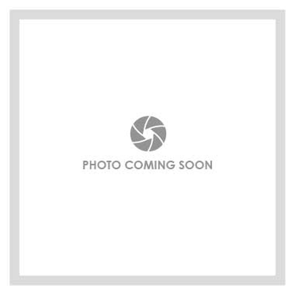 Air Switch Contemporary Chrome Brass/Stainless Steel 1-1/8 Inch